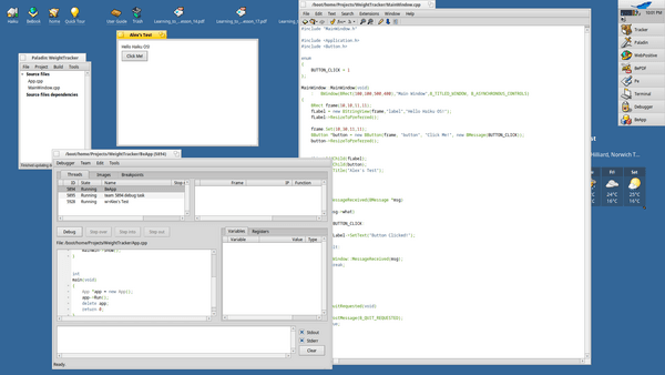 Screenshot of the IDE environment in Haiku